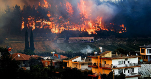 Очаги пожаров в Турции взяты под контроль